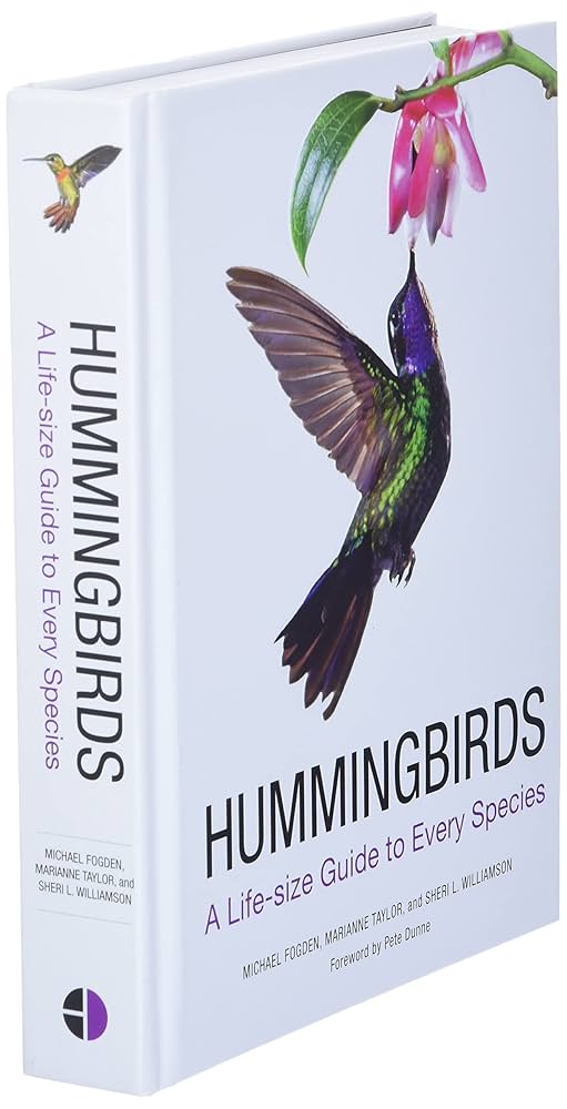 その他 Video Guide to Hummingbirds [DVD] Amazon.com: Nature: Hummingbirds : ., .: Movies & TV